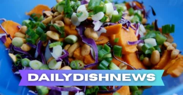 dailydishnews